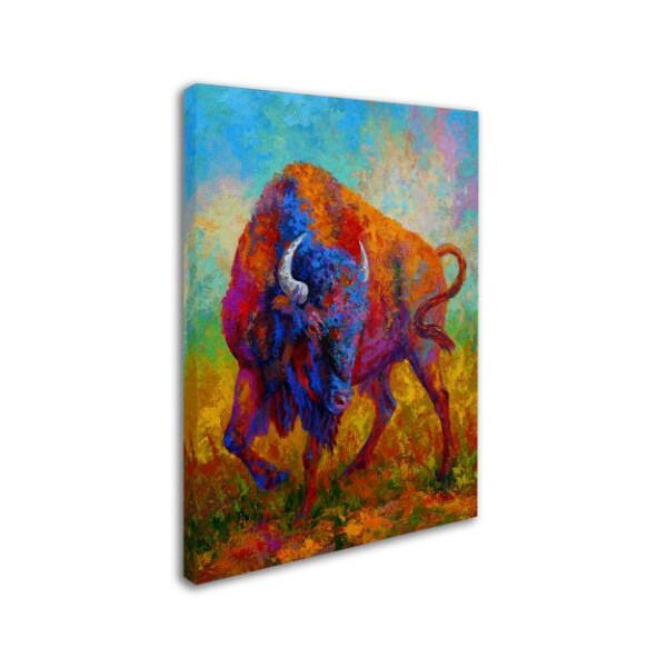 Marion Rose 'Bison Bull 1' Canvas Art,35x47